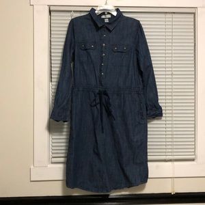 Christopher and Banks Denim Dress